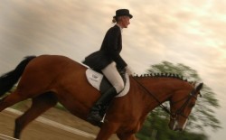 bal dressage