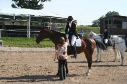 win dressage